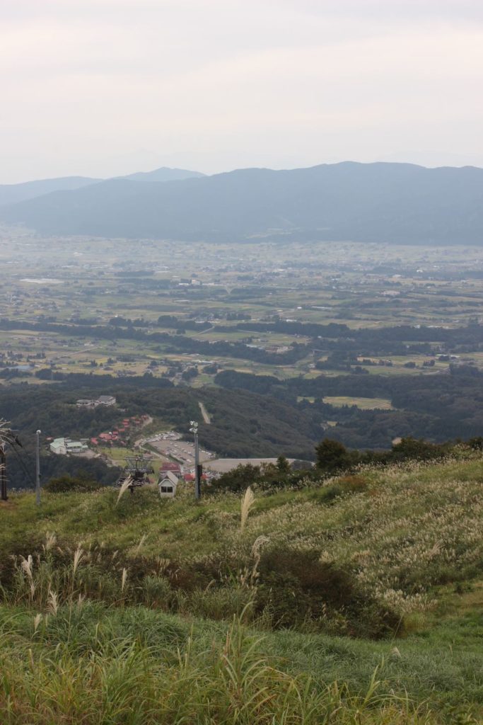 のどかな風景