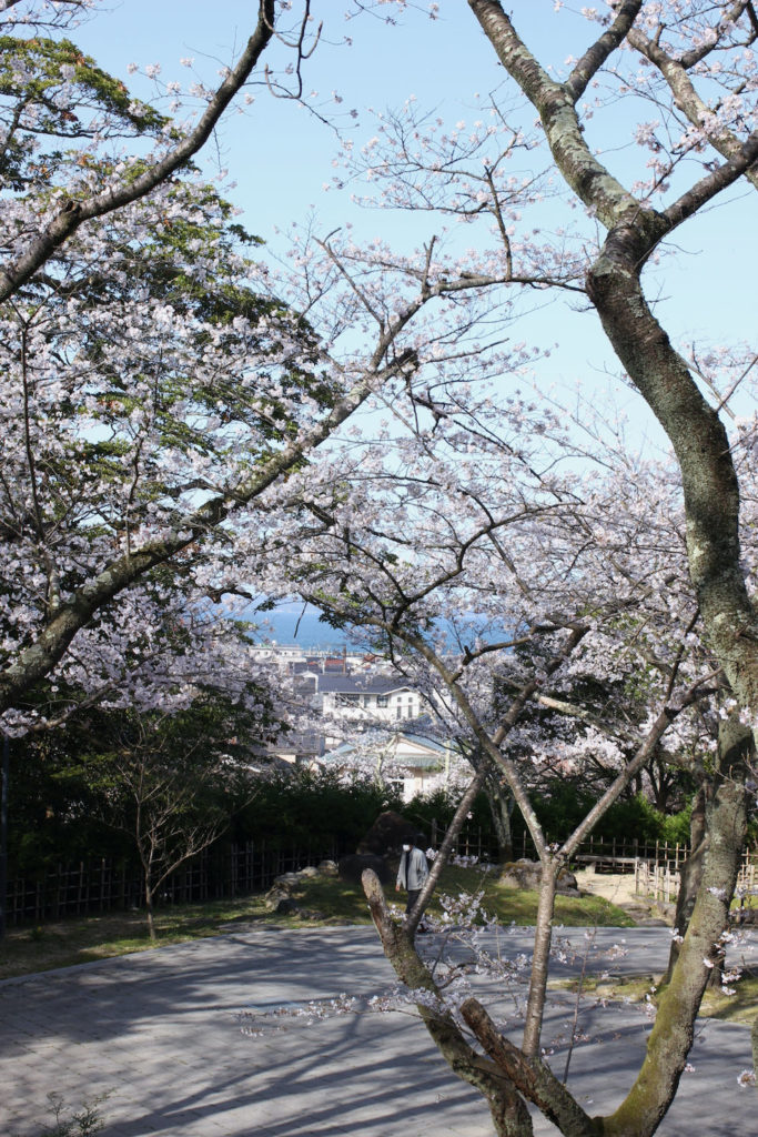 小丸山城址