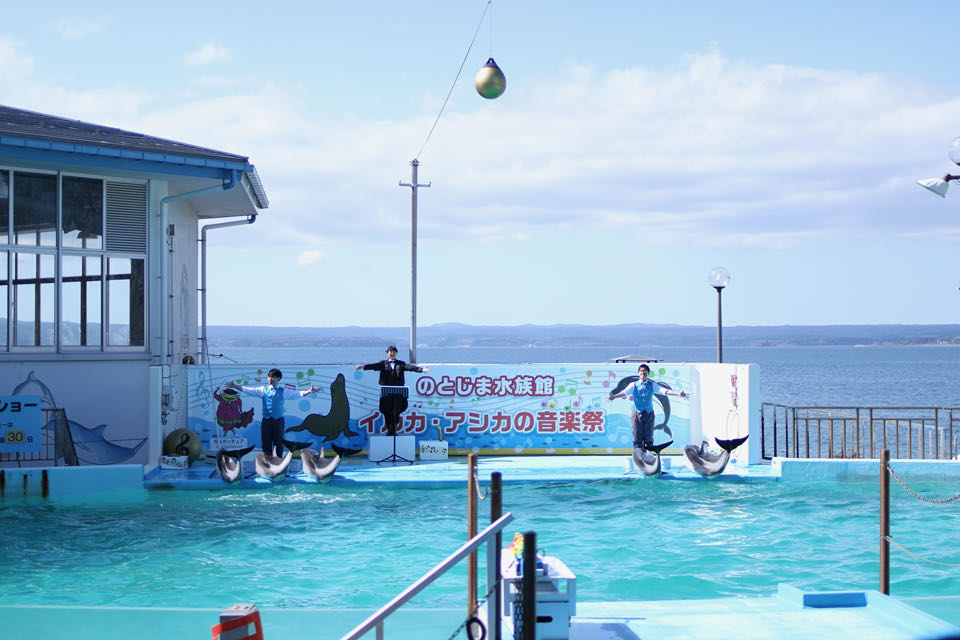 のとじま水族館イルカショー