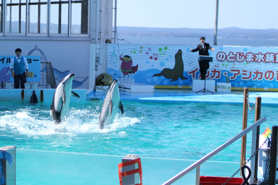 のとじま水族館イルカショー